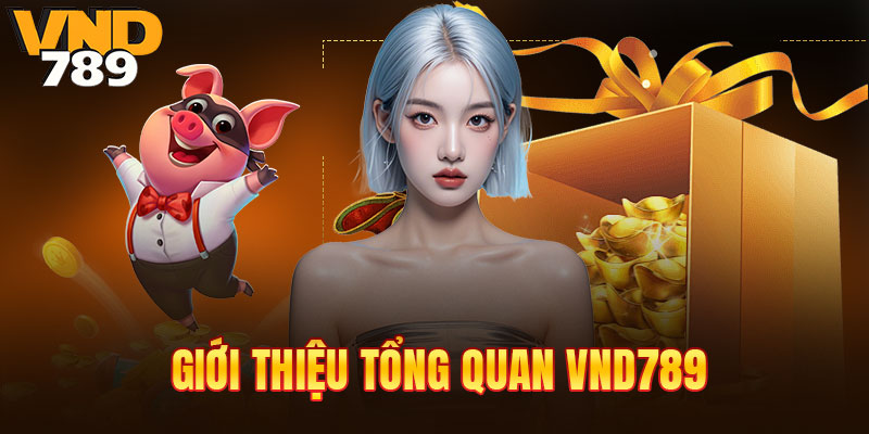 Tìm hiểu sơ lược thương hiệu VND789