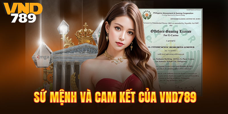 Sứ mệnh và cam kết của VND789