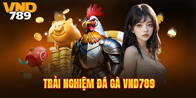 Trải nghiệm đá gà tuyệt vời tại VND789