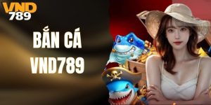 Bắn Cá VND789 - Săn Cá Đại Dương Cùng Nhiều Phần Quà Hấp Dẫn