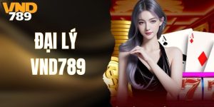 Đại Lý VND789 – Hàng Nghìn Lợi Ích Khi Tham Gia Cộng Tác
