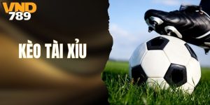Tìm Hiểu Kèo Tài Xỉu? Bắt Kèo Cực Gắt Với VND789