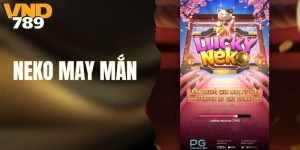 Neko May Mắn - Game Thú Vị Cho Anh Em Đam Mê Vận Đỏ