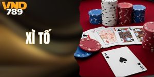 Xì Tố - Hướng Dẫn Chơi Bài Dễ Dàng Cho Người Mới Bắt Đầu